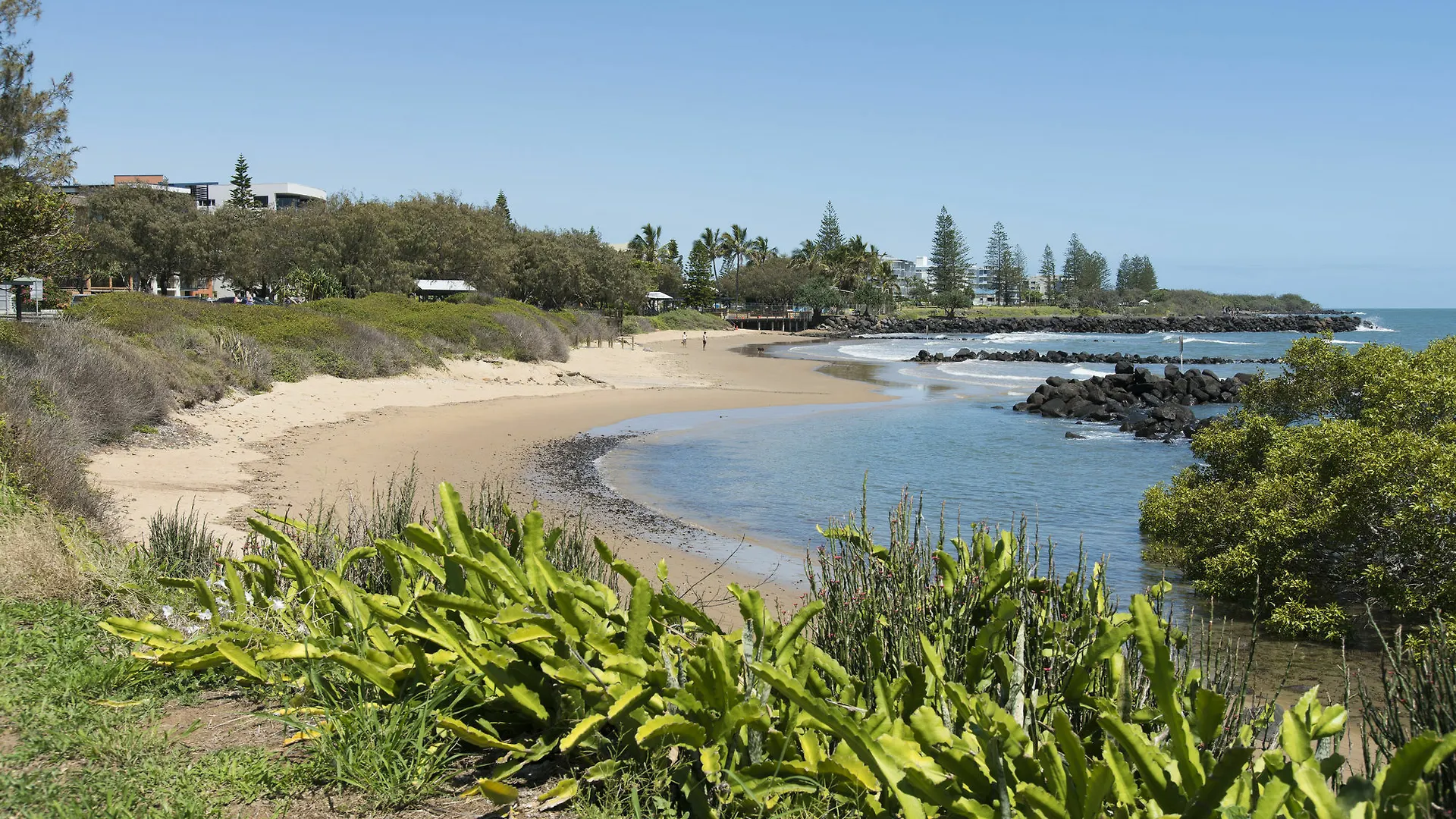 Don Pancho Beach Resort Bargara